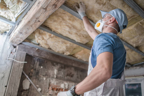 Best Insulation Maintenance and Repair in Sherwood, WI